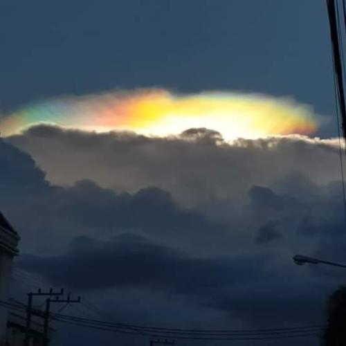 สมาชิกหมายเลข 6374545