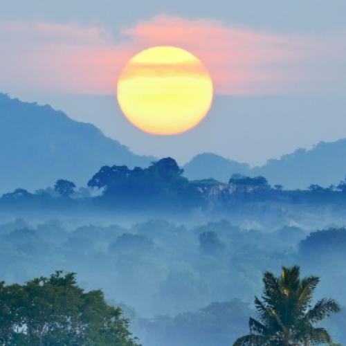 ชื่อลูกหนูไม่ใช่หนูนา