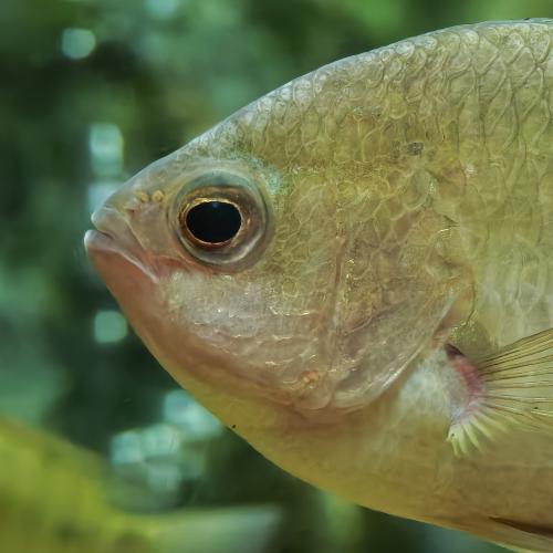 สมาชิกหมายเลข 5897955