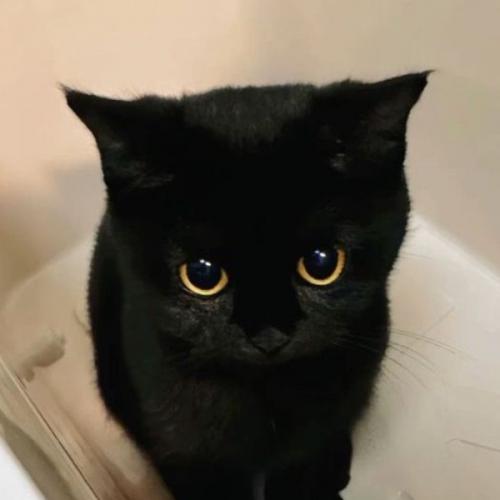 สมาชิกหมายเลข 6543950