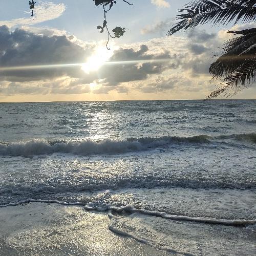 สมาชิกหมายเลข 7511728