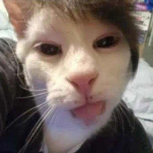 สมาชิกหมายเลข 8815600