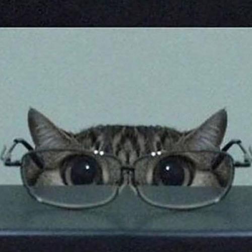 สมาชิกหมายเลข 8816636