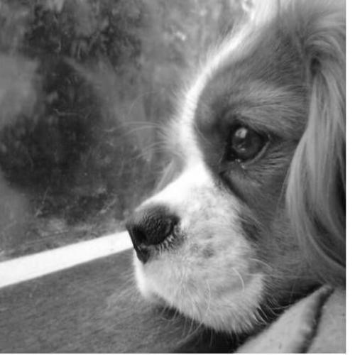 สมาชิกหมายเลข 1000836