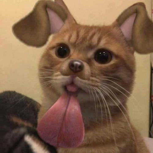 สมาชิกหมายเลข 4833477