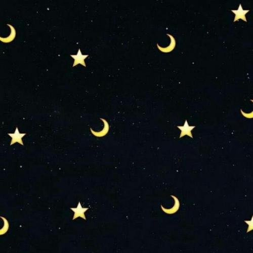 สมาชิกหมายเลข 4853578