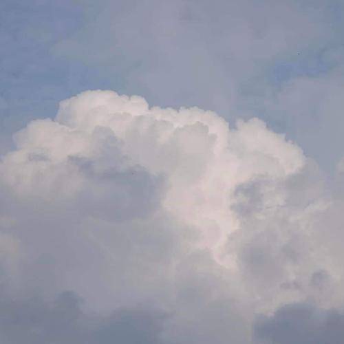 สมาชิกหมายเลข 5274186