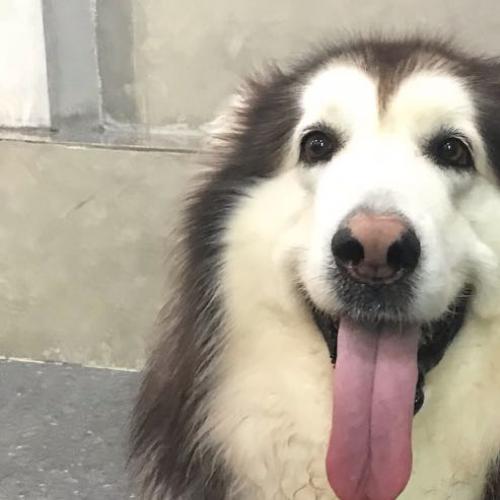 สมาชิกหมายเลข 5315913