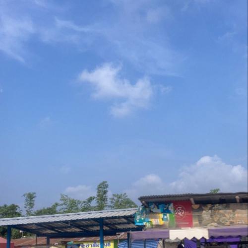 สมาชิกหมายเลข 5912126