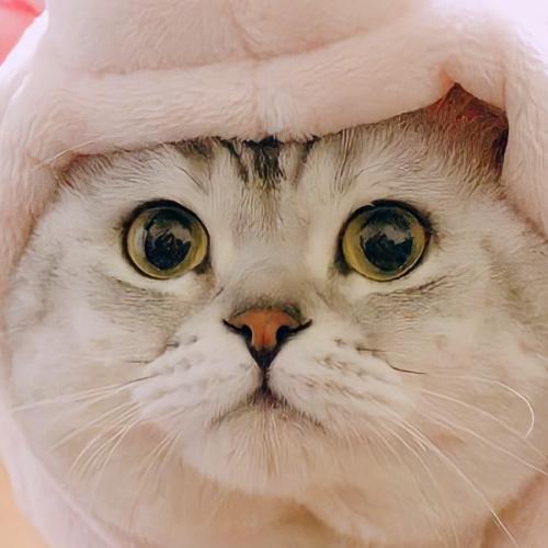 สมาชิกหมายเลข 6375318