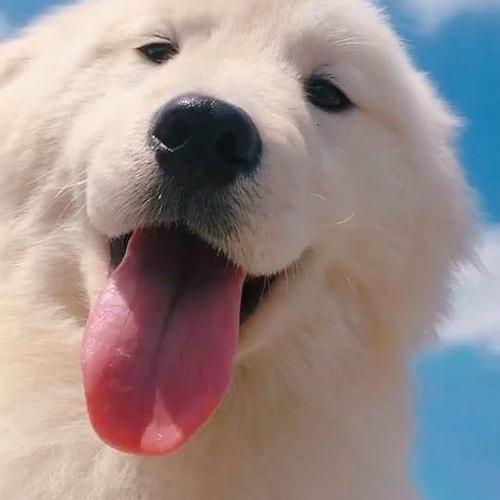 สมาชิกหมายเลข 6375673