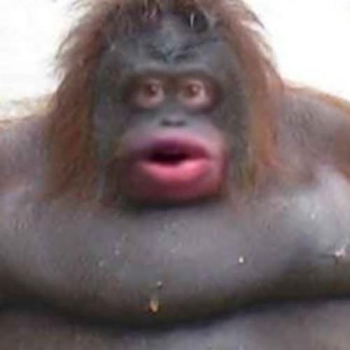 สมาชิกหมายเลข 6375921