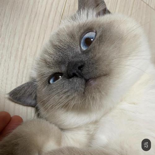 คิดนามแฝงไม่ออกจริงๆ