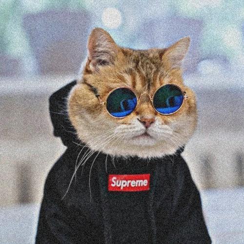 สมาชิกหมายเลข 5606496