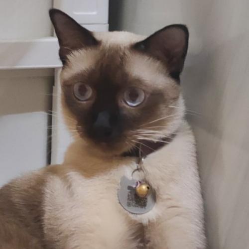 สมาชิกหมายเลข 2670859