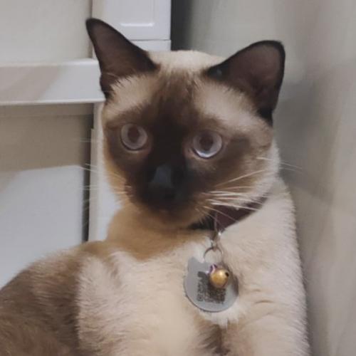 สมาชิกหมายเลข 2675449