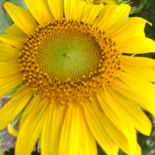 สมาชิกหมายเลข 8452838