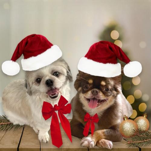 สมาชิกหมายเลข 8817901