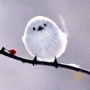 สมาชิกหมายเลข 3701263