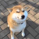 สมาชิกหมายเลข 4574998