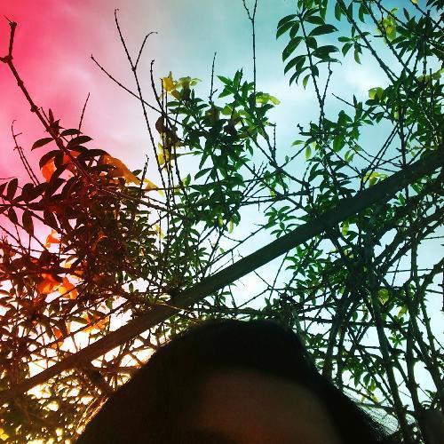 สมาชิกหมายเลข 4575168