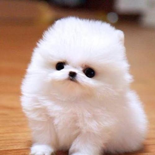 สมาชิกหมายเลข 3635173