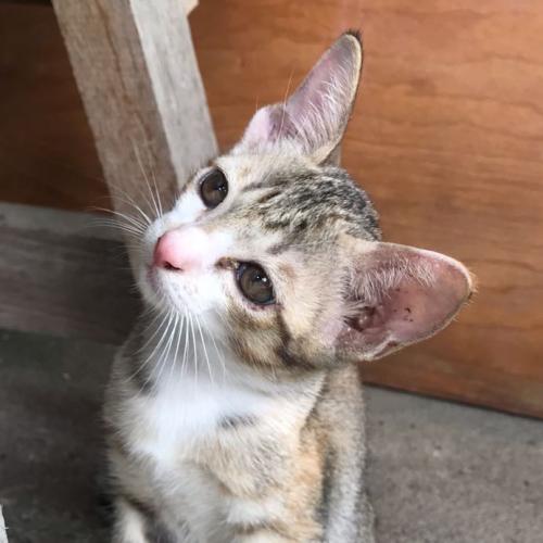 สมาชิกหมายเลข 5135919