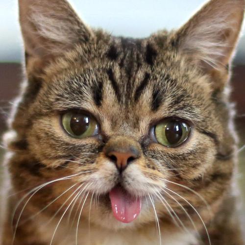 สมาชิกหมายเลข 5777655