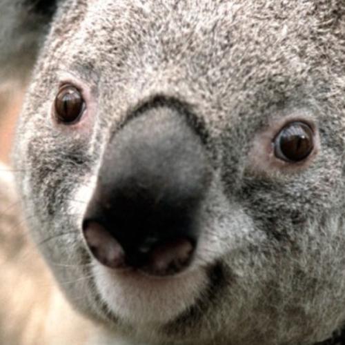 สมาชิกหมายเลข 5777674