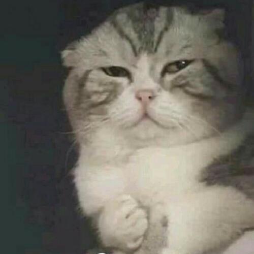 สมาชิกหมายเลข 5778089