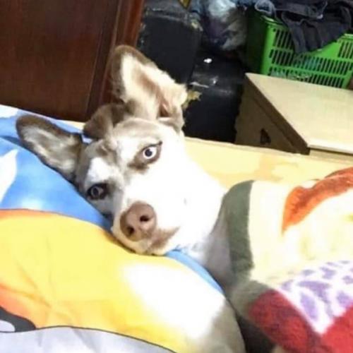 สมาชิกหมายเลข 893586