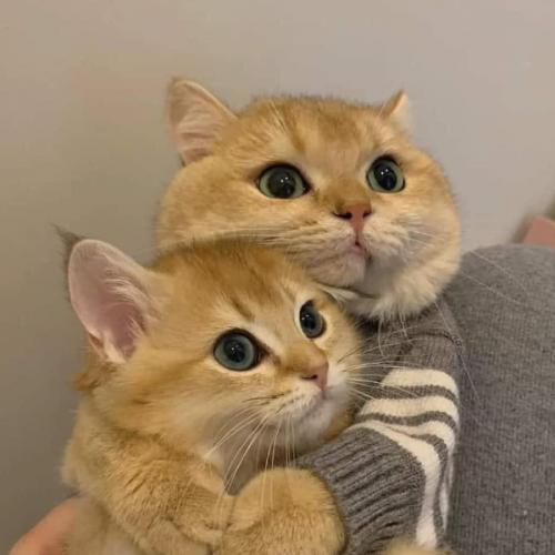 สมาชิกหมายเลข 5301142