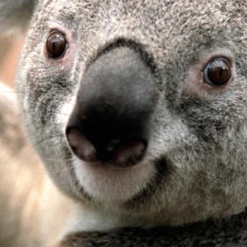 สมาชิกหมายเลข 6376565