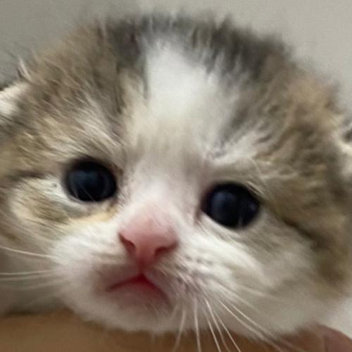 สมาชิกหมายเลข 6376712