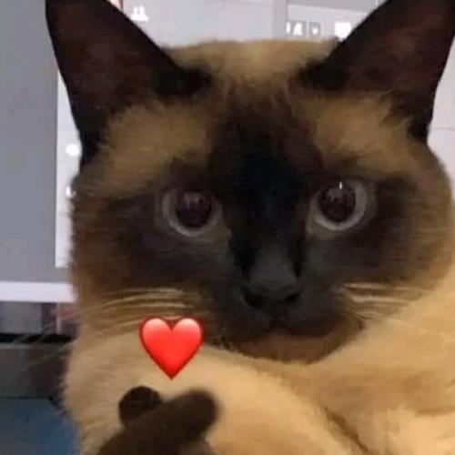 สมาชิกหมายเลข 7835433