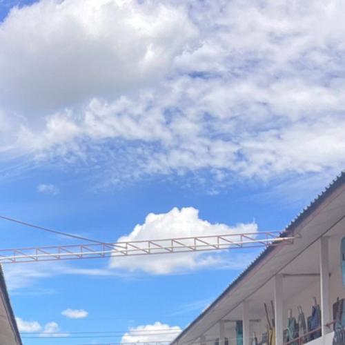 สมาชิกหมายเลข 7835695