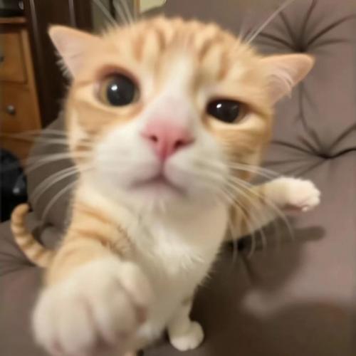 สมาชิกหมายเลข 1902358