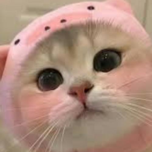 สมาชิกหมายเลข 8545373