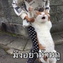 สมาชิกหมายเลข 1720292