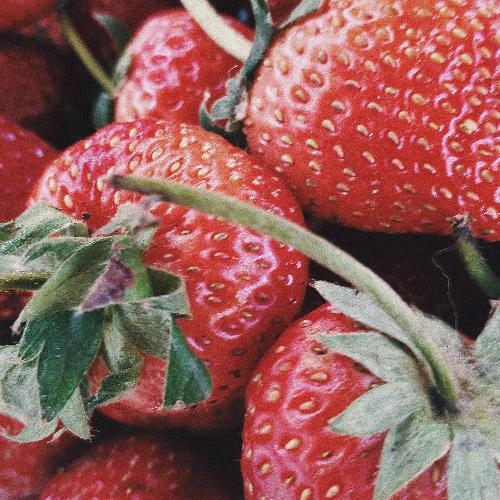 สมาชิกหมายเลข 1767471