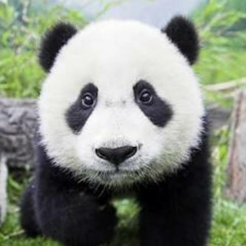 สมาชิกหมายเลข 4918211