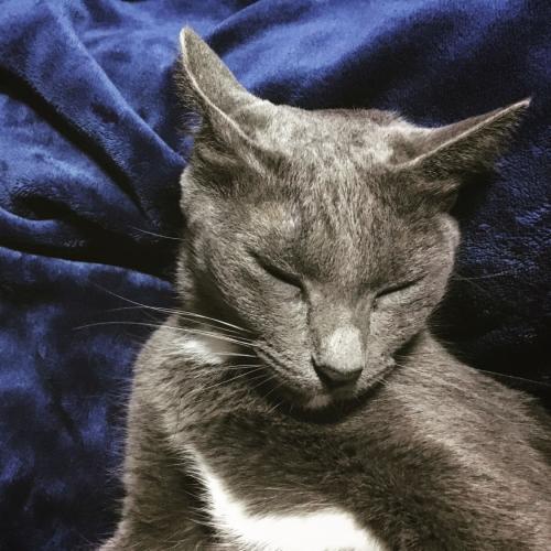 สมาชิกหมายเลข 3356983