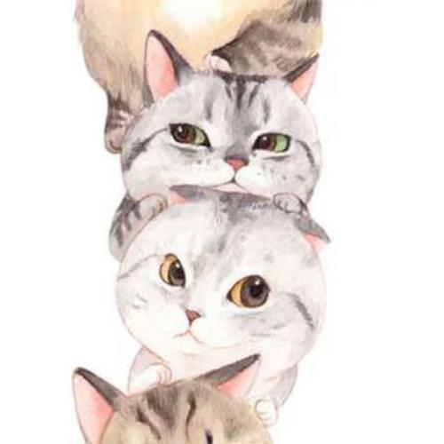 สมาชิกหมายเลข 5569057