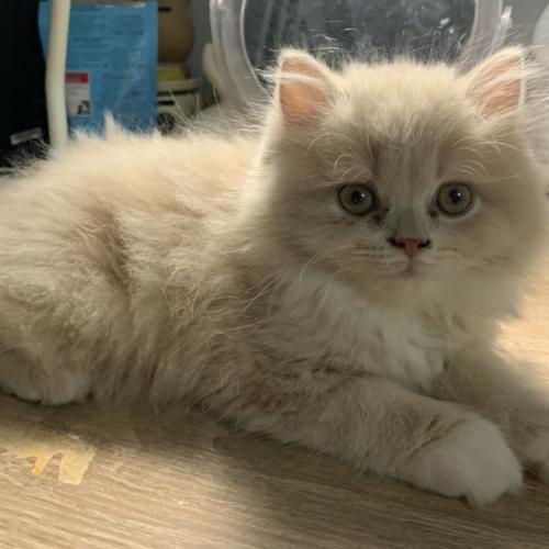 สมาชิกหมายเลข 3161581