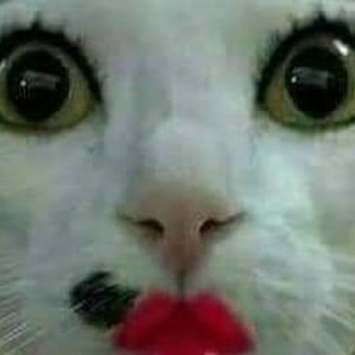 สมาชิกหมายเลข 5744438