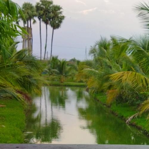 สมาชิกหมายเลข 4851630