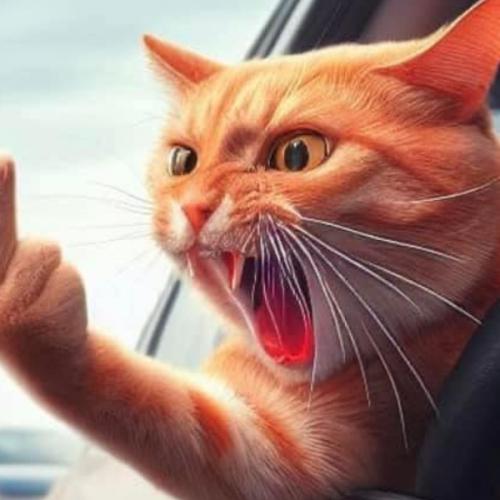 สมาชิกหมายเลข 7836111