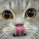 สมาชิกหมายเลข 1585903