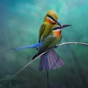 สมาชิกหมายเลข 4163545