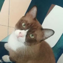 สมาชิกหมายเลข 3000565